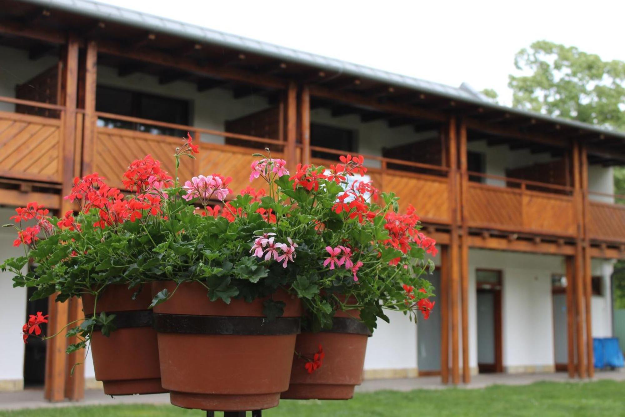 Foeveny Apartmanok Balatonfůzfő Екстериор снимка